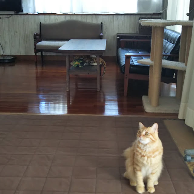 gabさんの実例写真