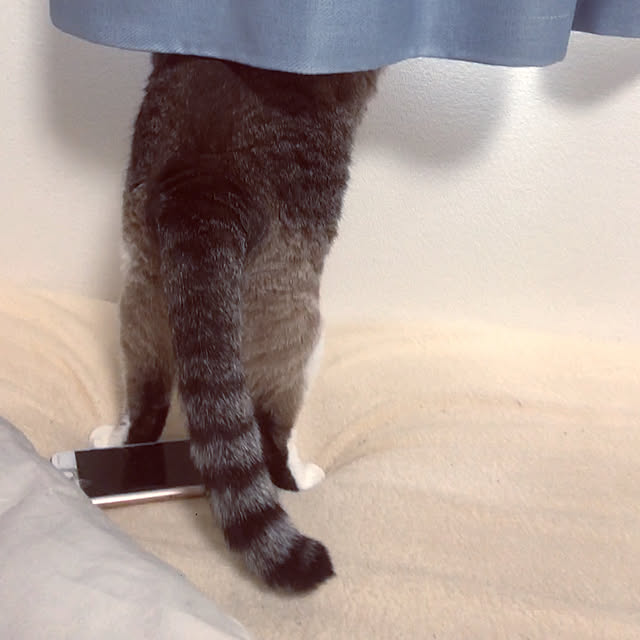 pppさんの実例写真