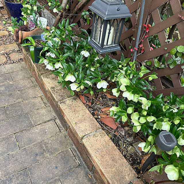 yu-chanさんの部屋