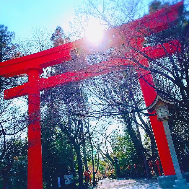 実例写真
