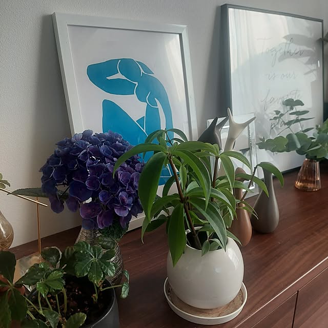 anmomaruさんの部屋