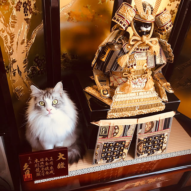 ayakona114さんの実例写真