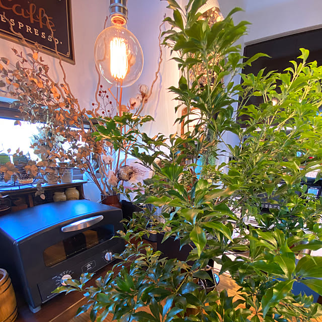 cocochiさんの部屋