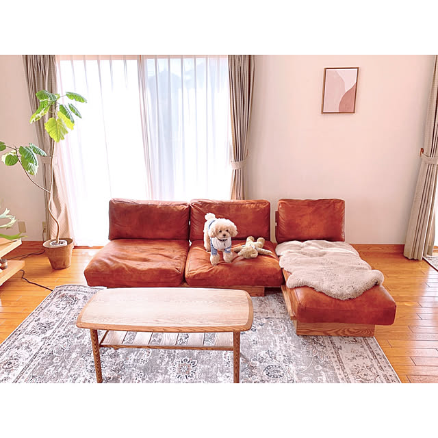 teaさんの実例写真
