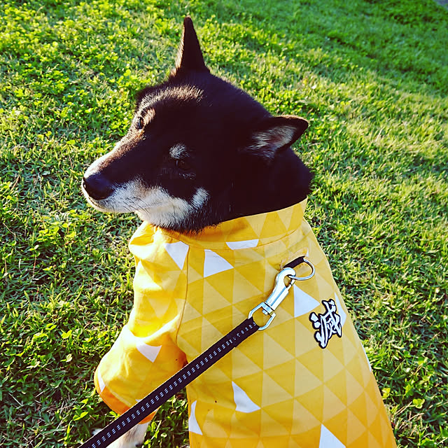 tsutawarimasuさんの実例写真