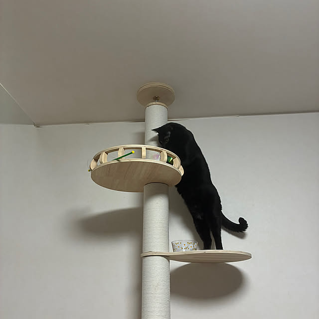 nannanさんの部屋
