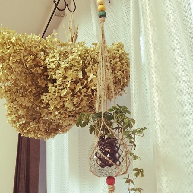 dango87さんの実例写真