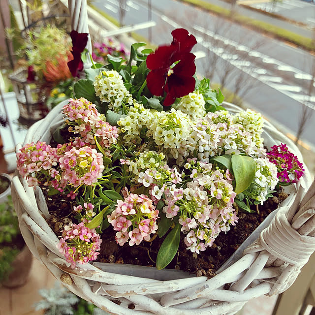 ange.zuzuさんの実例写真