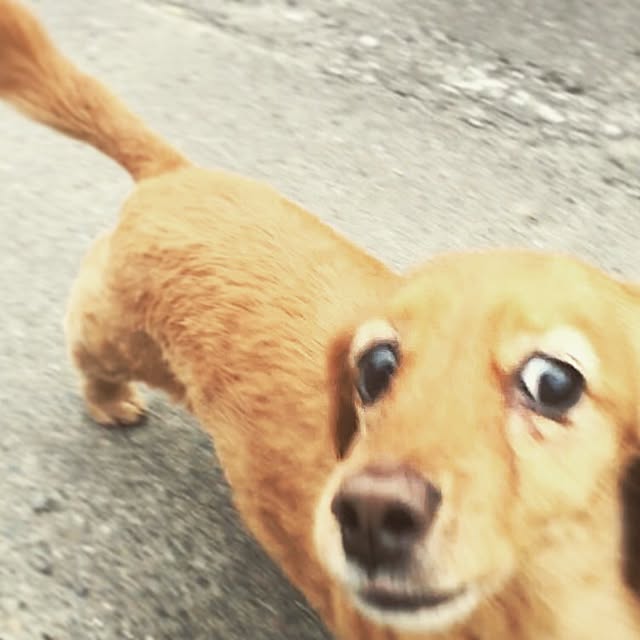sakuさんの実例写真