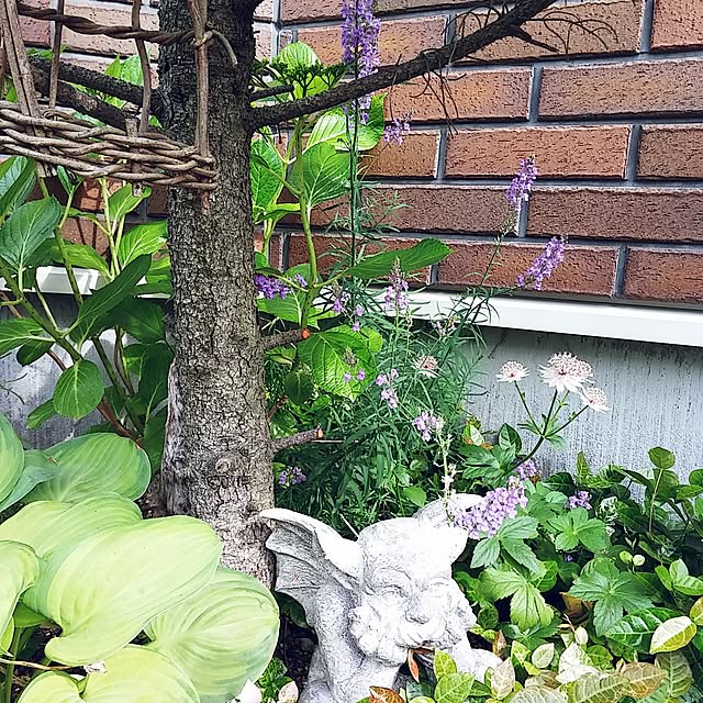 demetanさんの実例写真