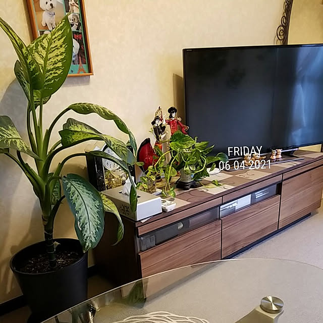 takoさんの実例写真