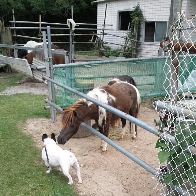 AandPさんの実例写真
