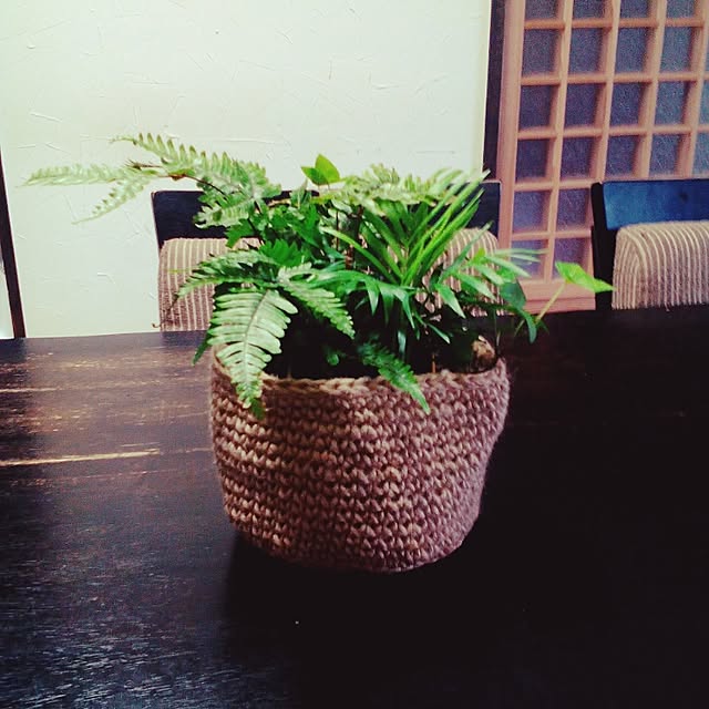 shusen.miyaさんの実例写真