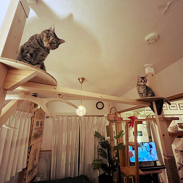 Mさんの実例写真