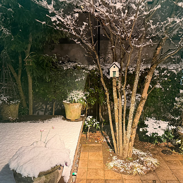 Yumiさんの実例写真