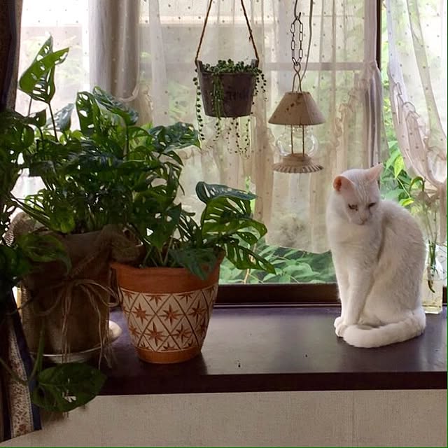 yuuyさんの実例写真