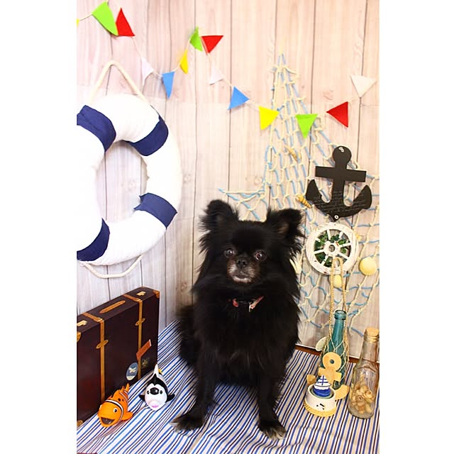 Rinakkumaさんの実例写真