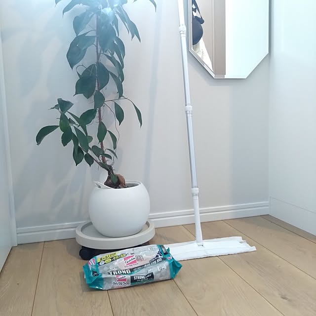 maifofoさんの実例写真