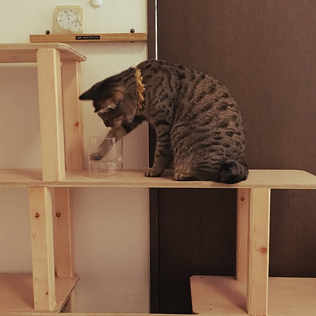 Mさんの実例写真