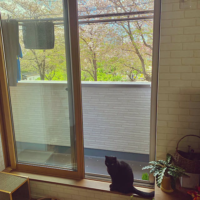 iiiyocoiiiさんの部屋
