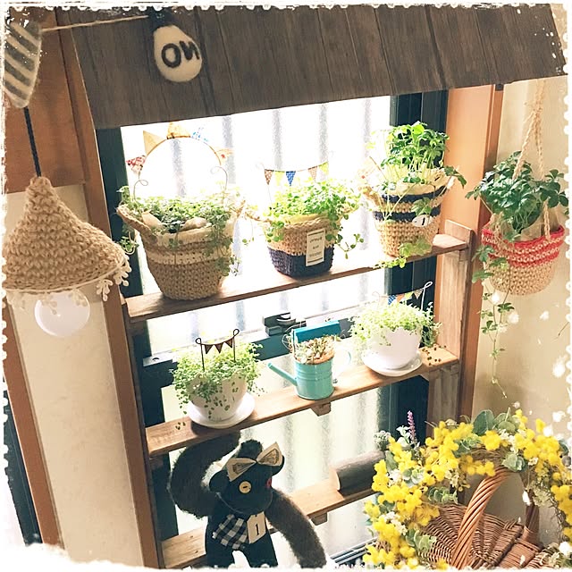 mapleさんの実例写真