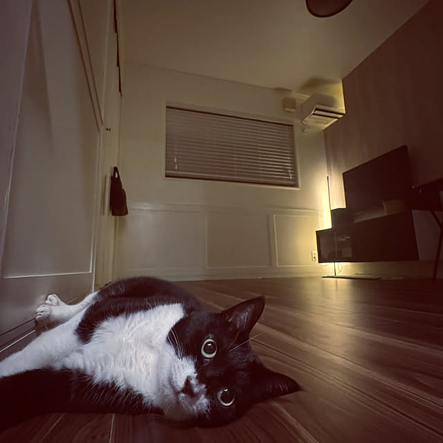 rinaonさんの部屋