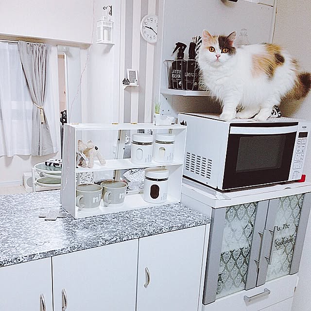 mikaさんの実例写真