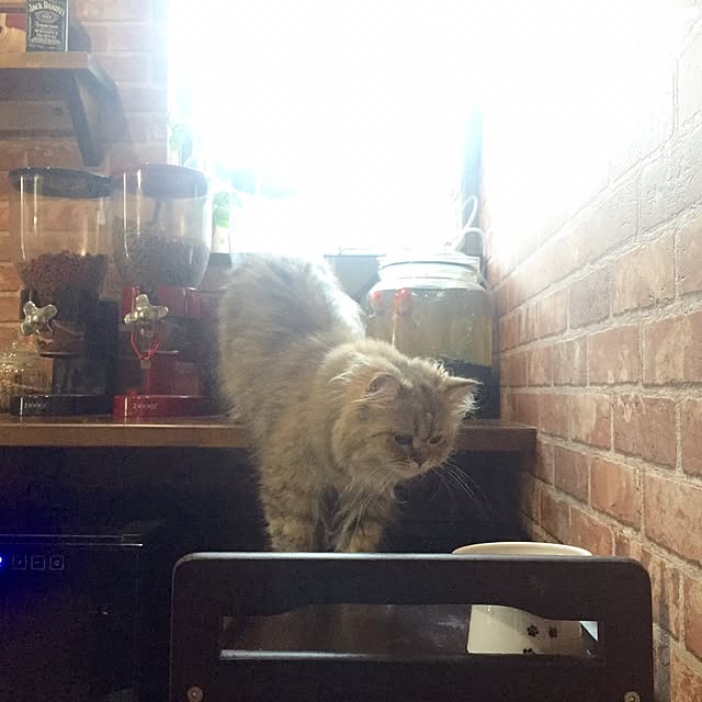 butachanさんの実例写真