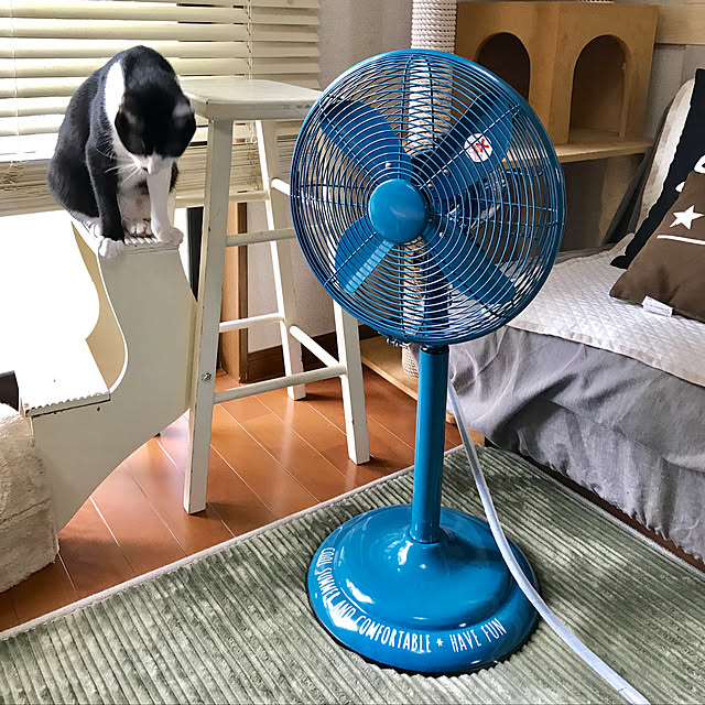 kazaneさんの実例写真
