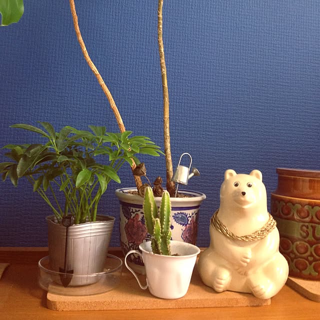 chiyaさんの実例写真
