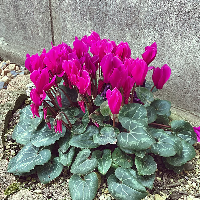 richanさんの部屋