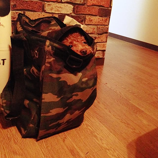 chocolatさんの実例写真