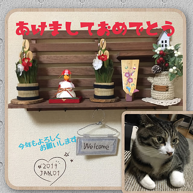 kimikimiさんの実例写真