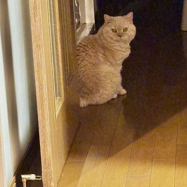 naokoさんの実例写真