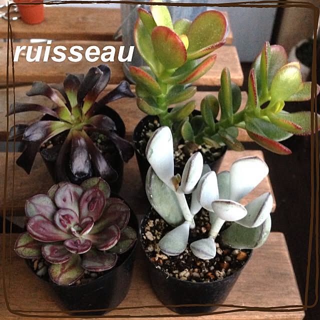 ruisseauさんの実例写真