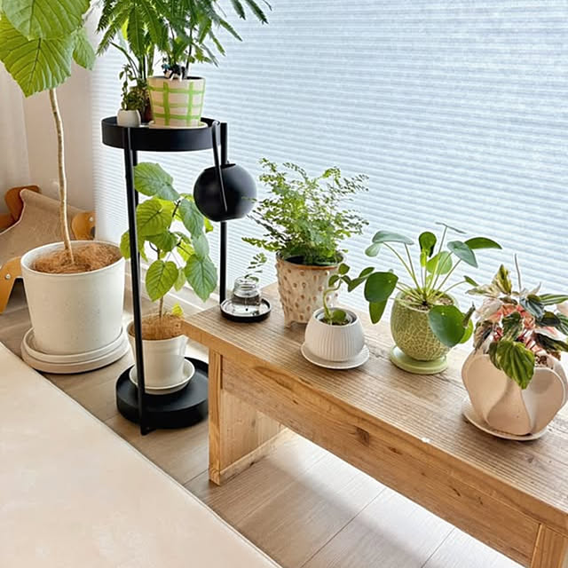 WOODPROさんの実例写真