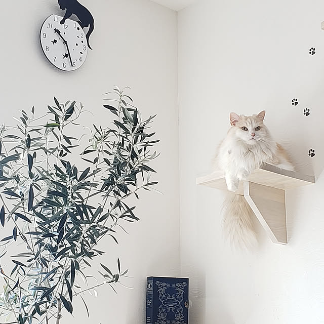 megu.catさんの実例写真