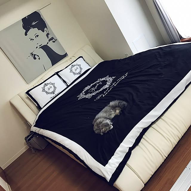 yuiさんの実例写真