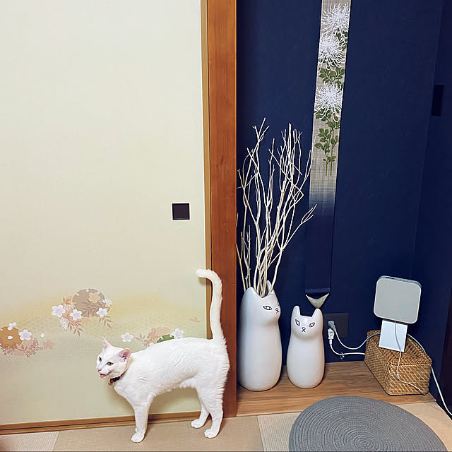 hanaさんの実例写真