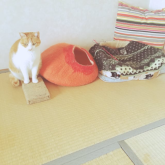 Sasaさんの実例写真