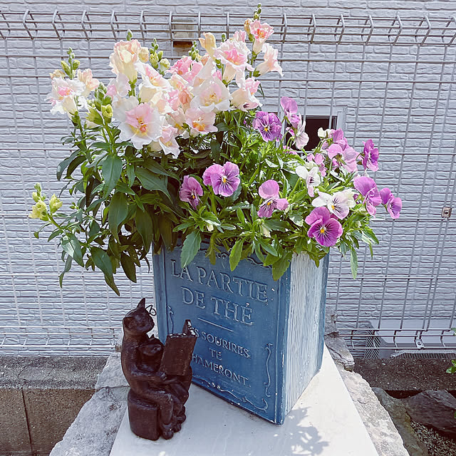 moolさんの部屋