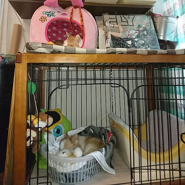 porinさんの実例写真