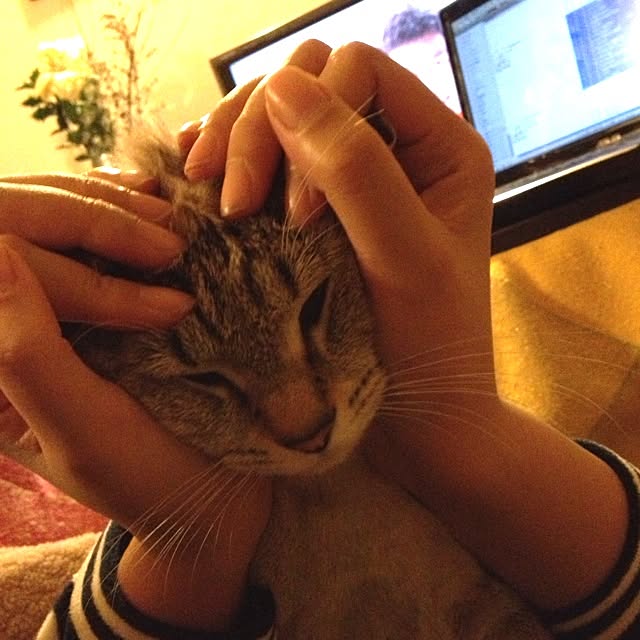 kmstmさんの実例写真