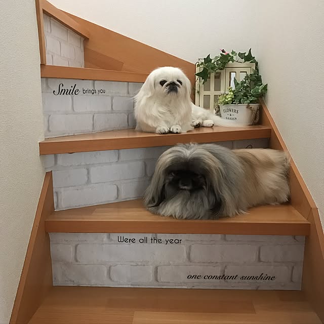 miyokoさんの実例写真
