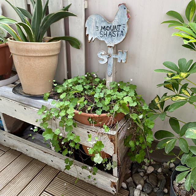 mamiさんのお部屋の写真