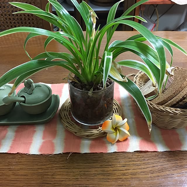yukiさんの実例写真