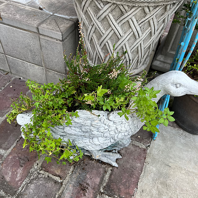 AYUKOさんの部屋