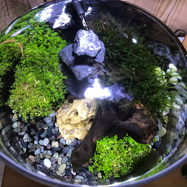 実例写真