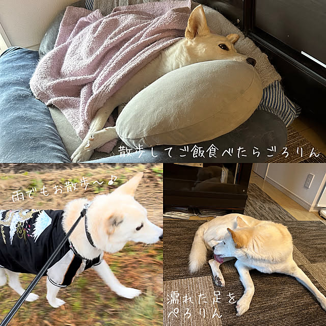 tanboさんの部屋