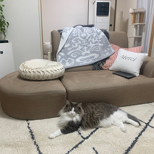 cocoさんの実例写真